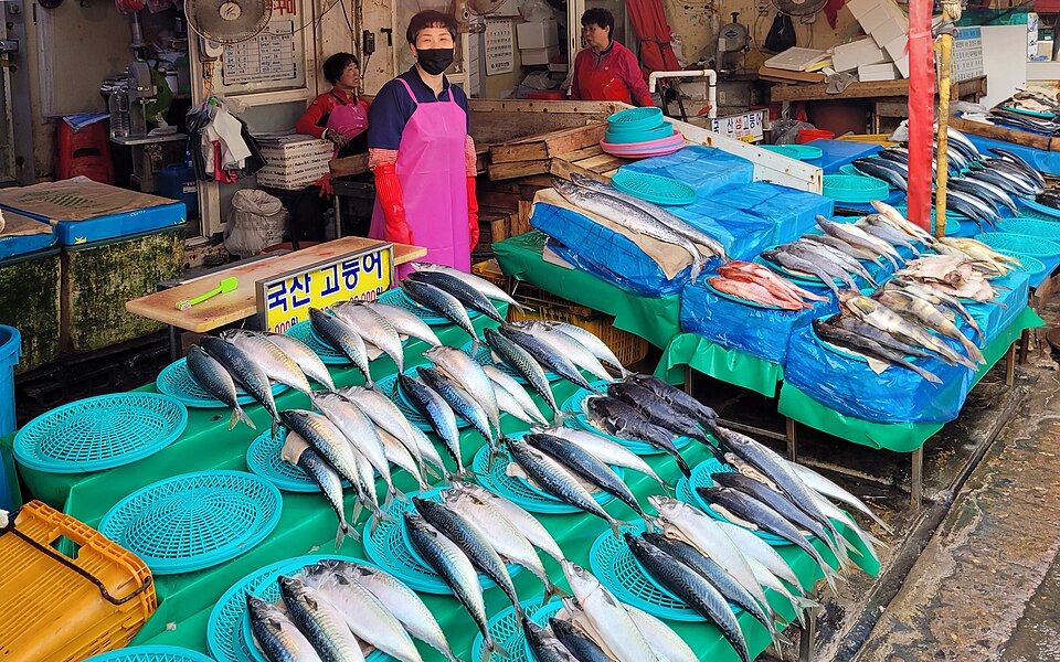 Mackerel and other fish laid out on a vendor table at Jagalchi Market in Busan