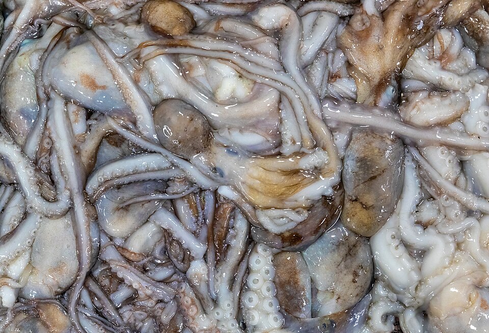 Octopus prepared as food at Noryangjin Fisheries Wholesale Market in Seoul